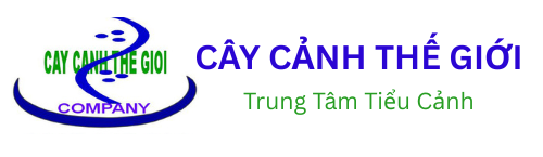 Tranh đá ốp tường