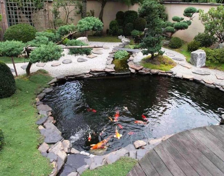 Hồ cá koi đẹp nhất thế giới - Cẩm nang thiết kế và chăm sóc tuyệt vời