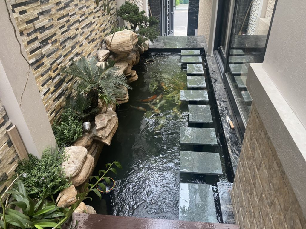 Hồ cá koi mini - Lựa chọn ý tưởng hồ nước nhỏ cho không gian đỉnh cao