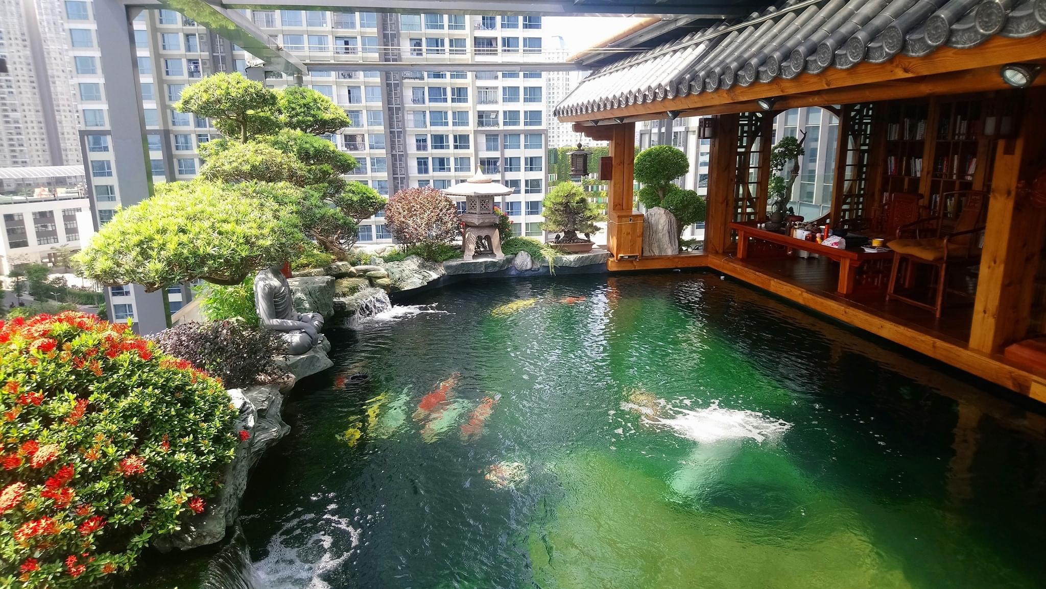Hồ cá koi - Nghệ thuật sống hòa quyện cùng thiên nhiên trong không gian nhà bạn