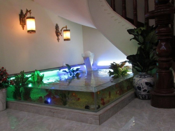Hồ cá koi trong nhà - Không gian sống xanh và phong cách đẳng cấp