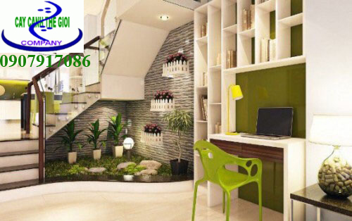 tieu-canh-cau-thang-117 tiểu cảnh gầm cầu thang hiện đại