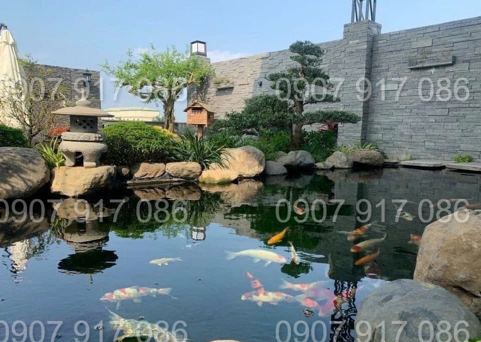 bể cá koi trong nhà